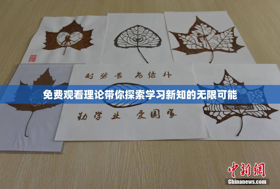 免费观看理论带你探索学习新知的无限可能