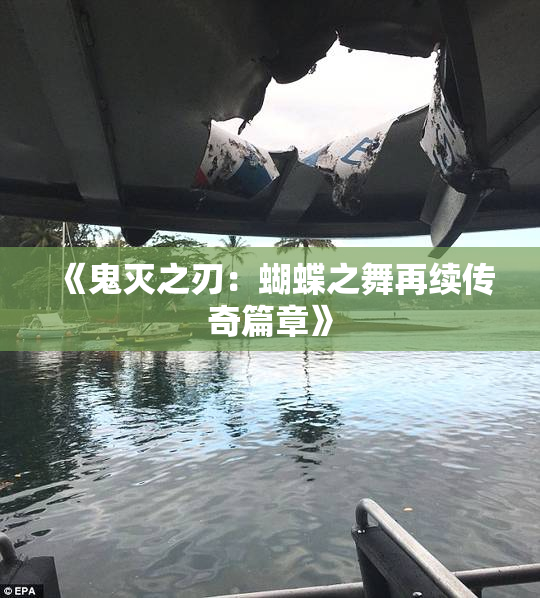 《鬼灭之刃：蝴蝶之舞再续传奇篇章》