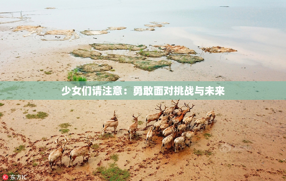少女们请注意：勇敢面对挑战与未来