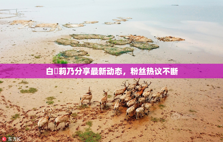 白咲莉乃分享最新动态，粉丝热议不断