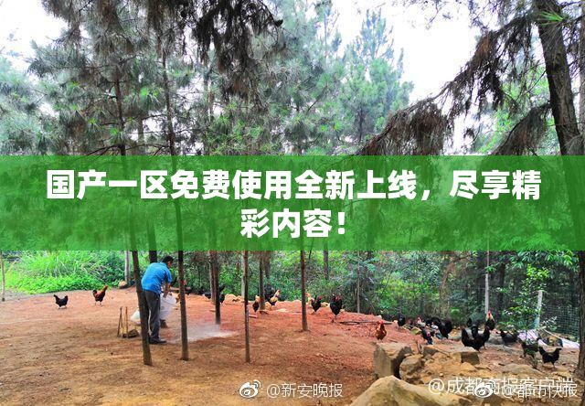 国产一区免费使用全新上线，尽享精彩内容！