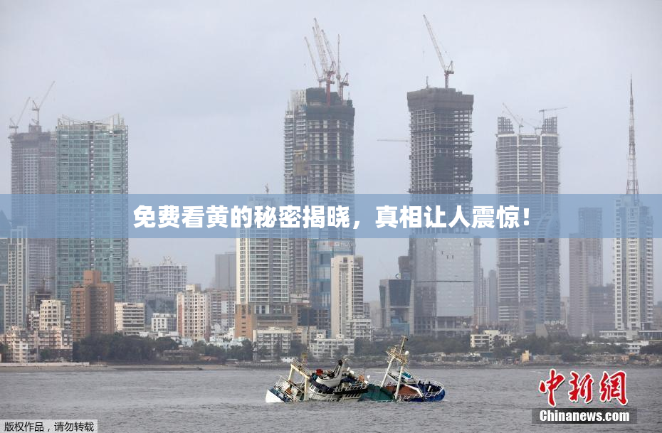 免费看黄的秘密揭晓，真相让人震惊！