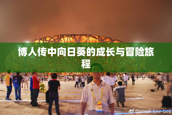 博人传中向日葵的成长与冒险旅程