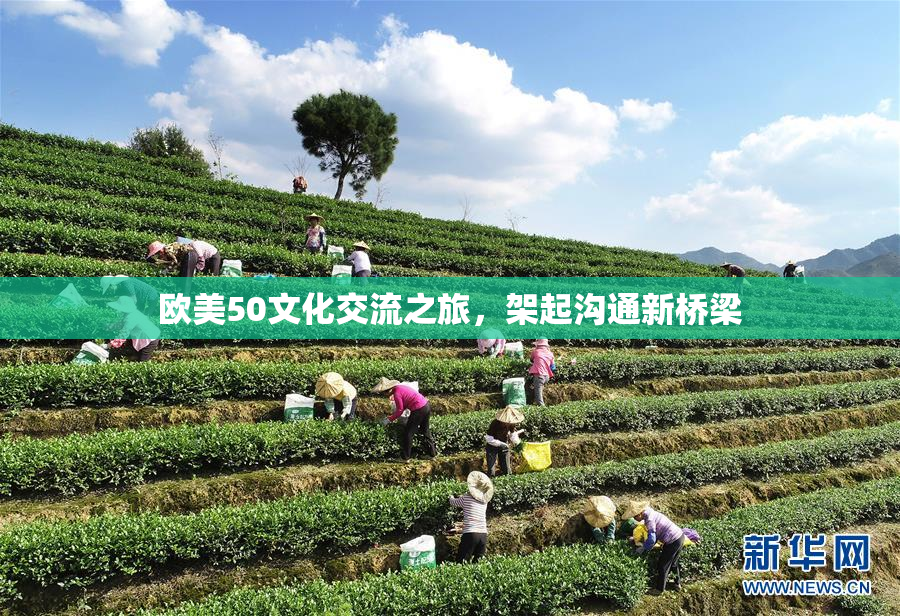 欧美50文化交流之旅，架起沟通新桥梁