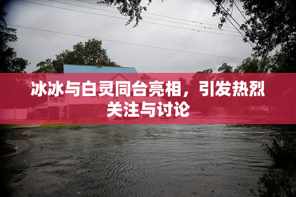 冰冰与白灵同台亮相，引发热烈关注与讨论