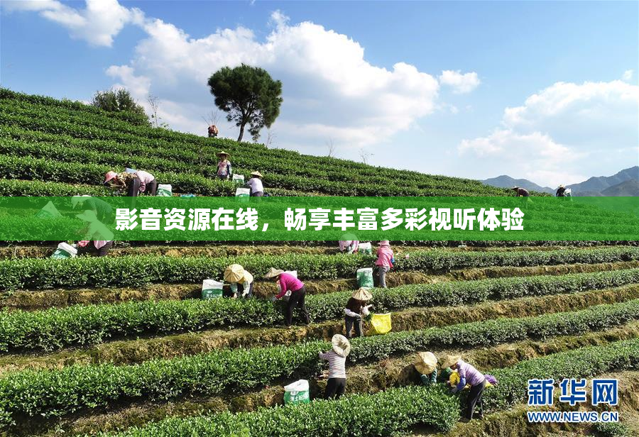 影音资源在线，畅享丰富多彩视听体验