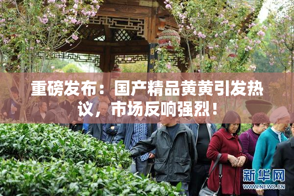 重磅发布：国产精品黄黄引发热议，市场反响强烈！