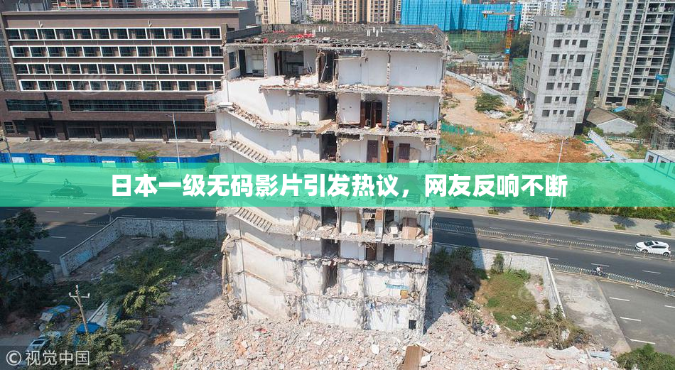 日本一级无码影片引发热议，网友反响不断