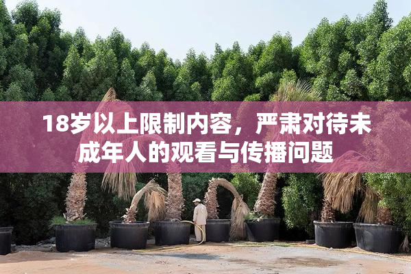 18岁以上限制内容，严肃对待未成年人的观看与传播问题