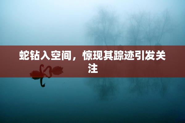蛇钻入空间，惊现其踪迹引发关注