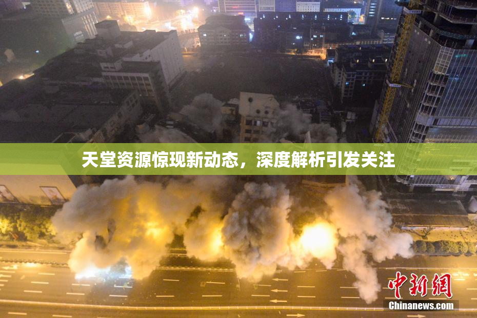 天堂资源惊现新动态，深度解析引发关注