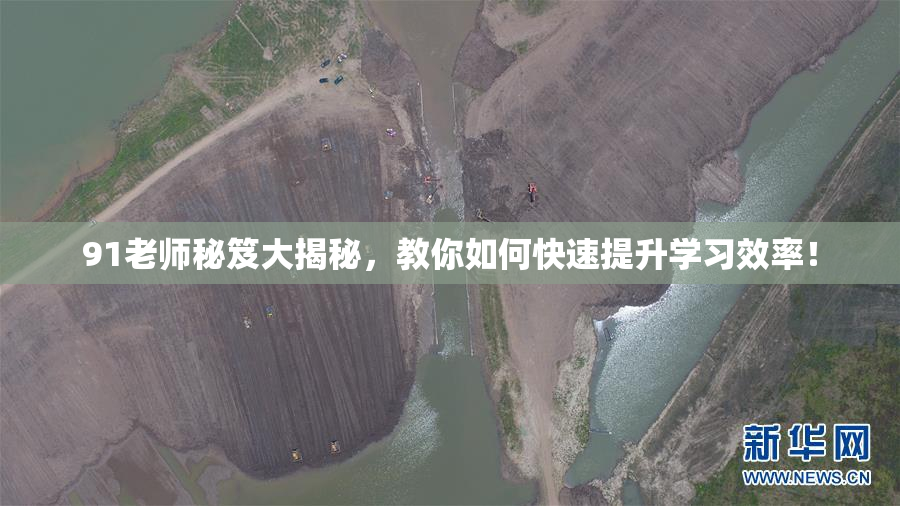91老师秘笈大揭秘，教你如何快速提升学习效率！