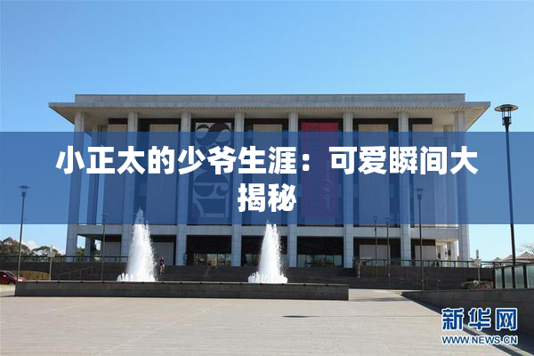 小正太的少爷生涯：可爱瞬间大揭秘