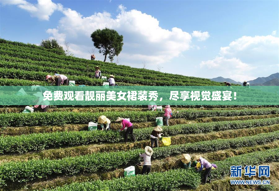 免费观看靓丽美女裙装秀，尽享视觉盛宴！