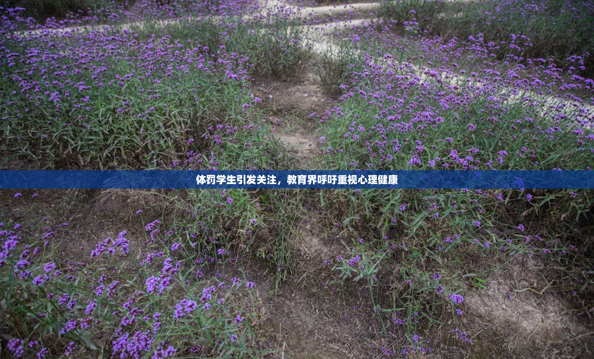 体罚学生引发关注，教育界呼吁重视心理健康