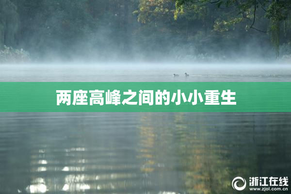 两座高峰之间的小小重生