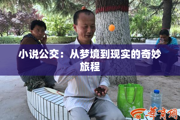 小说公交：从梦境到现实的奇妙旅程