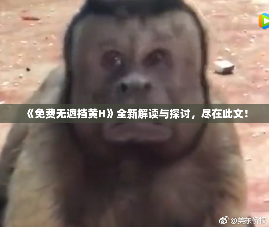 《免费无遮挡黄H》全新解读与探讨，尽在此文！