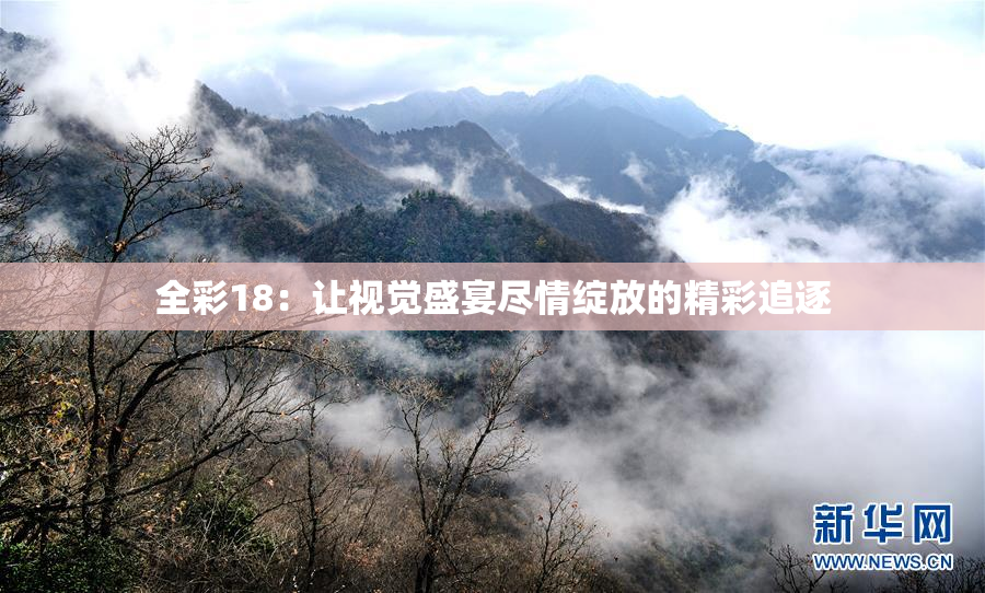 全彩18：让视觉盛宴尽情绽放的精彩追逐