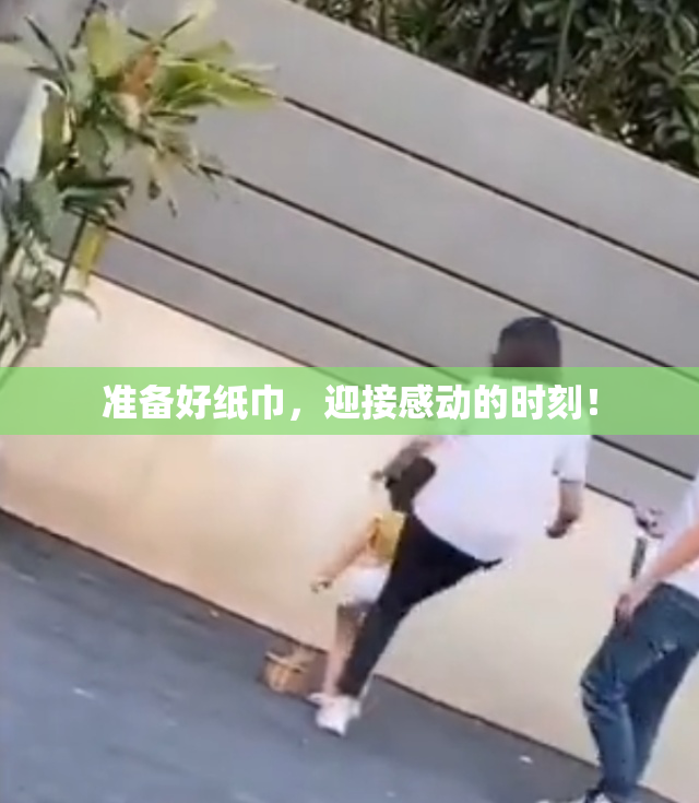 准备好纸巾，迎接感动的时刻！
