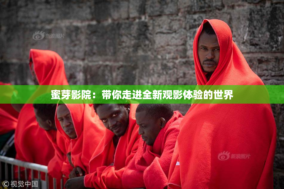 蜜芽影院：带你走进全新观影体验的世界