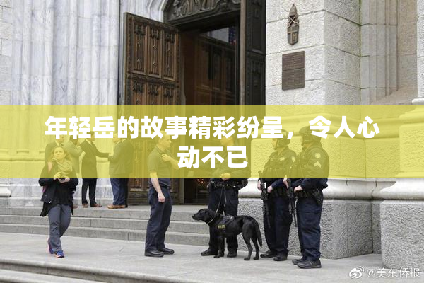 年轻岳的故事精彩纷呈，令人心动不已