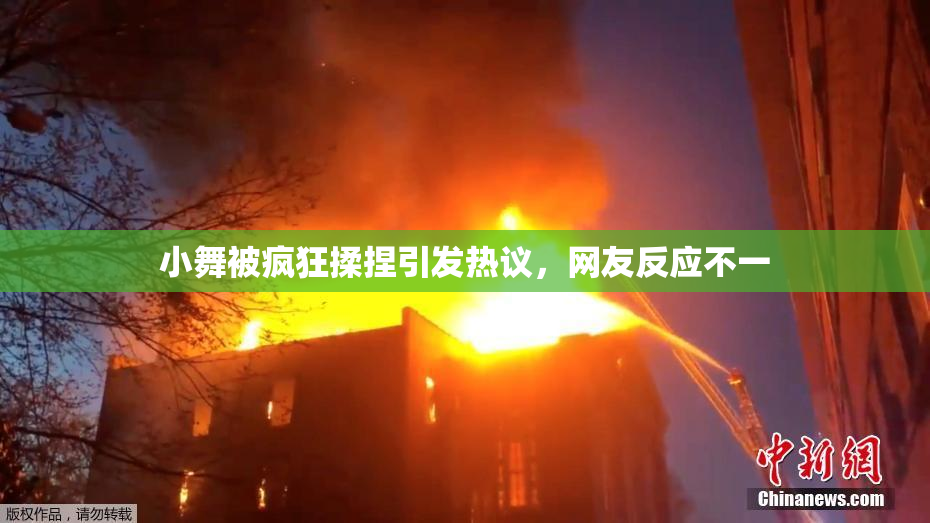 小舞被疯狂揉捏引发热议，网友反应不一