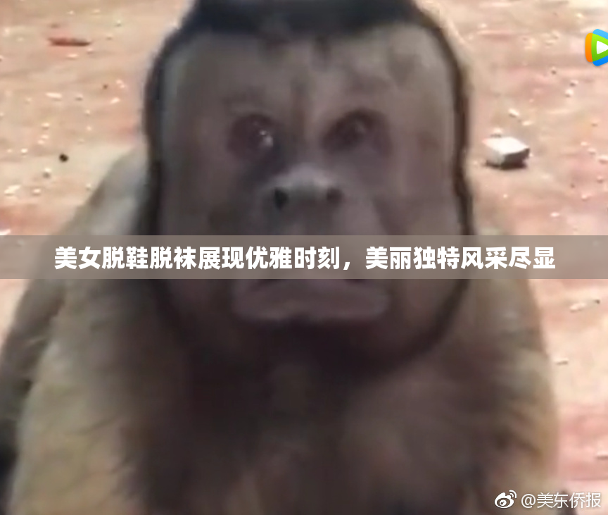 美女脱鞋脱袜展现优雅时刻，美丽独特风采尽显