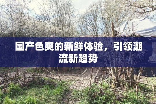 国产色爽的新鲜体验，引领潮流新趋势