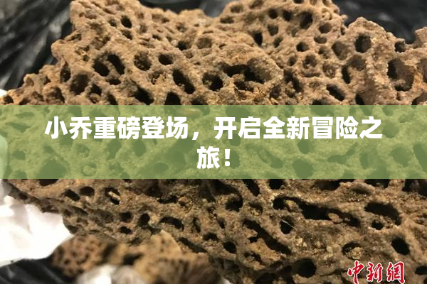小乔重磅登场，开启全新冒险之旅！