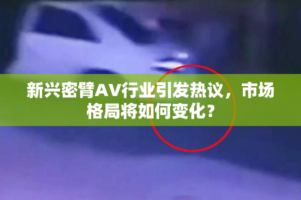 新兴密臂AV行业引发热议，市场格局将如何变化？