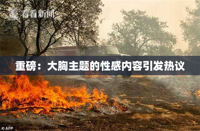 重磅：大胸主题的性感内容引发热议