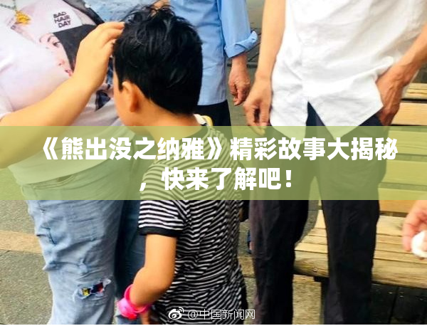《熊出没之纳雅》精彩故事大揭秘，快来了解吧！