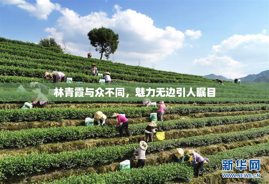 林青霞与众不同，魅力无边引人瞩目