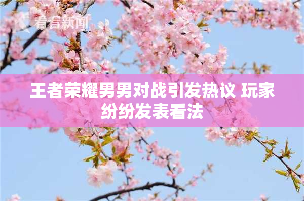 王者荣耀男男对战引发热议 玩家纷纷发表看法
