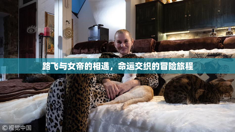 路飞与女帝的相遇，命运交织的冒险旅程