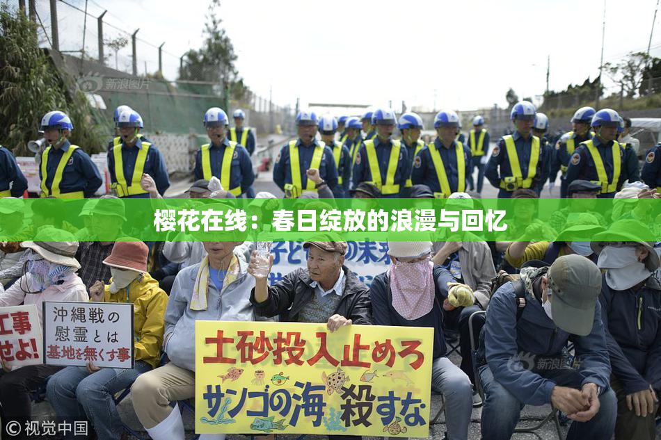 樱花在线：春日绽放的浪漫与回忆