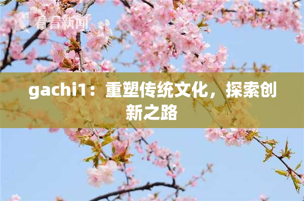 gachi1：重塑传统文化，探索创新之路
