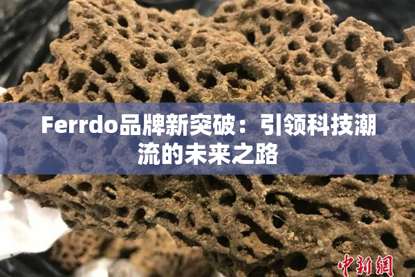 Ferrdo品牌新突破：引领科技潮流的未来之路