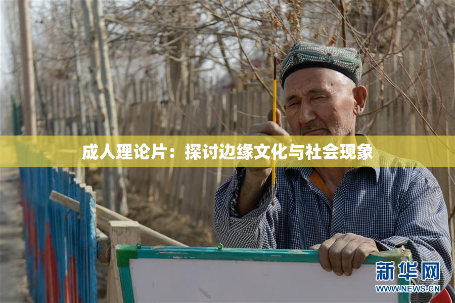 成人理论片：探讨边缘文化与社会现象