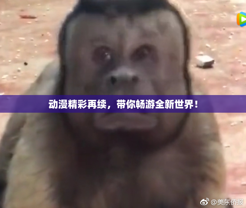 动漫精彩再续，带你畅游全新世界！