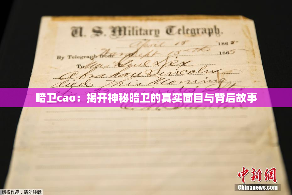 暗卫cao：揭开神秘暗卫的真实面目与背后故事