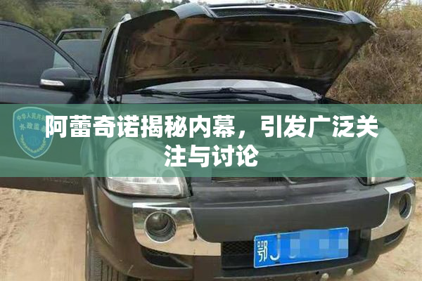 阿蕾奇诺揭秘内幕，引发广泛关注与讨论