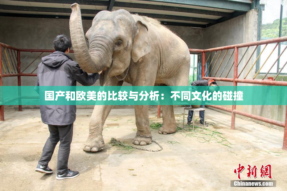 国产和欧美的比较与分析：不同文化的碰撞