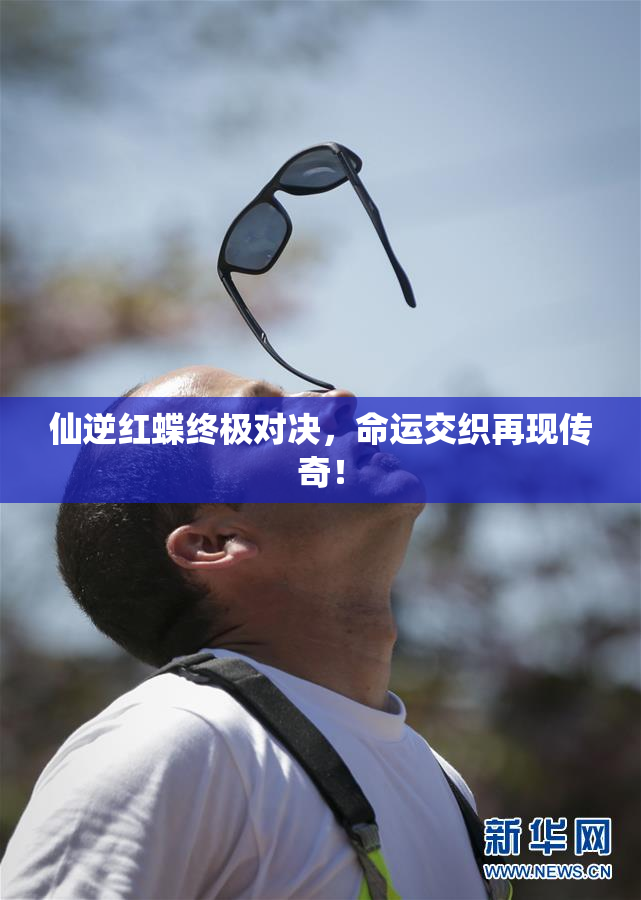 仙逆红蝶终极对决，命运交织再现传奇！
