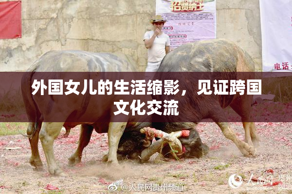 外国女儿的生活缩影，见证跨国文化交流