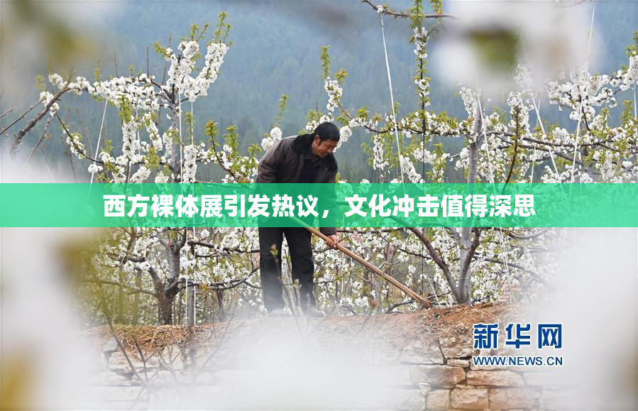 西方裸体展引发热议，文化冲击值得深思
