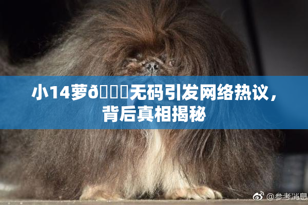 小14萝🔞无码引发网络热议，背后真相揭秘