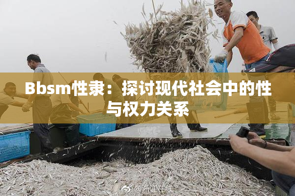 Bbsm性隶：探讨现代社会中的性与权力关系