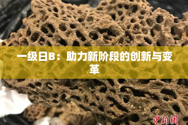 一级日B：助力新阶段的创新与变革